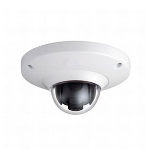 Fisheye camera